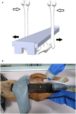 Comparison of Two Distraction Devices for Assessment of Passive Hip Laxity in Dogs